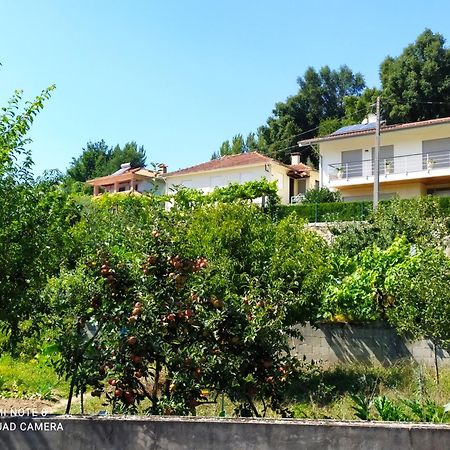 اروكا Bellavista Alojamento المظهر الخارجي الصورة