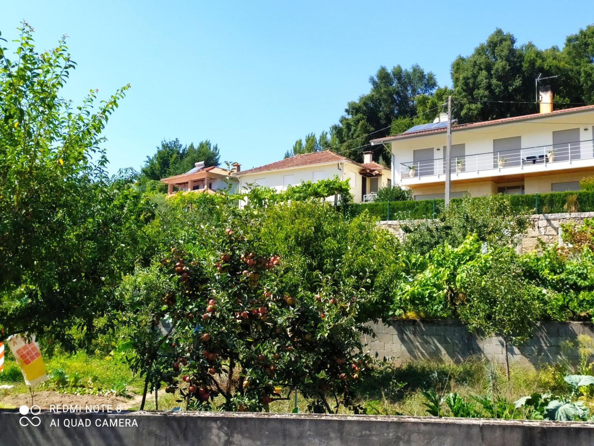 اروكا Bellavista Alojamento المظهر الخارجي الصورة